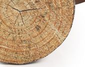 Pufai (medžių kelmų dizainas  3 vnt.)