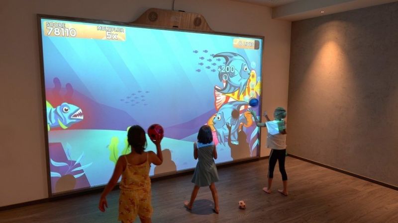 Interaktyvi siena Multi-Ball „Pro“