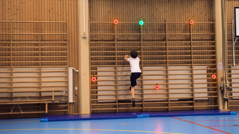 Išmanūs treniruočių diskai – PUSH Pucks (4 vnt.)