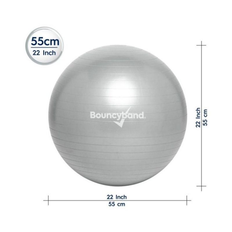 Balansinis kamuolys (pilkas, 55 cm)